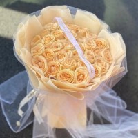 绯ʻٵ