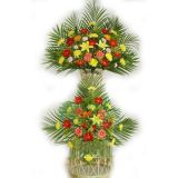 绯ʻٵ