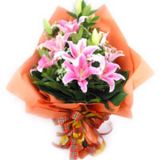 绯ʻٵ