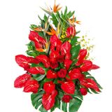 绯ʻٵ