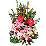 绯ʻٵ