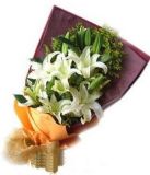 绯ʻٵ