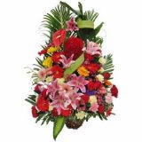 绯ʻٵ