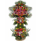 绯ʻٵ